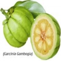 Garcinia cambogia - Cam Ấn